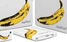 I Velvet Underground contro Andy Warhol