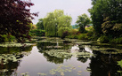 Le ninfee di Monet. Un incantesimo di acqua e di luce - La nostra recensione