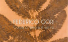 Federico Gori. Come afferare il vento