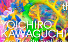 Yoichiro Kawaguchi. Zero Gravity Evolution