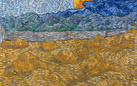 Attorno a Van Gogh. Otto pittori e i colori della vita
