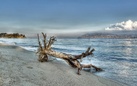 Le Scalinate dell’Arte - Visioni del mito. Atlante fotografico dello Stretto di Messina