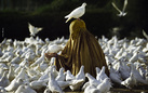 Steve McCurry. For Freedom