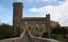 Il patrimonio ritrovato di Vulci