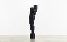 Antony Gormley. Human