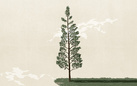 Alessandro Gottardo. OnShout