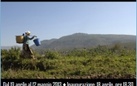 Elio Villa. Gente del Myanmar