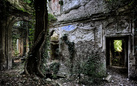 Gruppo Manicomio Fotografico Urbex Soul. Pachamama. La natura riprende i suoi spazi