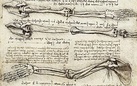 Il genio di Da Vinci travolge la Scozia