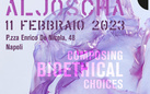 Aljoscha. Composing Bioethical Choices