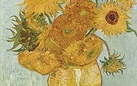 Un capolavoro in pericolo: appassiscono i girasoli di Van Gogh