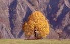 Giornata Nazionale del Paesaggio - Soprintendenze aperte