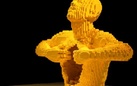 Nathan Sawaya. The Art of the Brick®