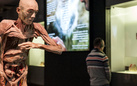 Human Bodies. The Exhibition