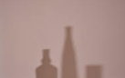 Catherine Wagner. In Situ: Traces of Morandi