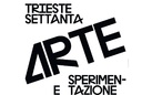 Trieste Settanta. Arte e sperimentazione