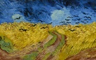 Ad Amsterdam, per i 50 anni del Van Gogh Museum