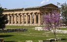 Wiki Loves Monuments al Parco Archeologico di Paestum