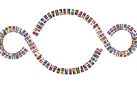La Bandiera del Mondo 1+1=3. Unità nella diversità