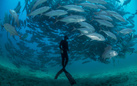 Alla scoperta degli oceani con i fotografi del National Geographic