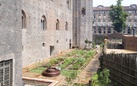 Il Giardino del Castello. Il cuore verde di Torino