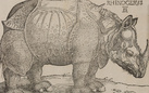 Albrecht Dürer. La collezione completa dei Remondini