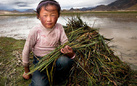 Phil Borges. Tibet's Portraits | Culture on the Edge