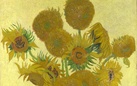 Londra riunisce due Girasoli di Van Gogh