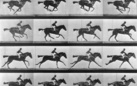 Muybridge e il sogno di far volare i cavalli