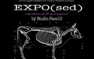 Expo(sed)