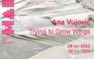 Ana Vujovic. Trying to grow wings