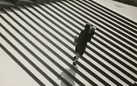 Alexander Rodchenko. Revolution in photography