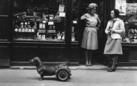 Robert Doisneau. Pescatore d’immagini