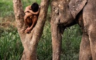 Gli animali di Steve McCurry in arrivo a Torino