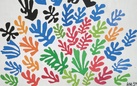 I collage di Matisse sul grande schermo