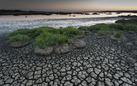 Wetlands: le terre d’acqua. Fotografie di Gabriele Espis