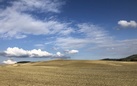 I musei delle Terre di Siena e i loro capolavori