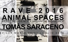 Rave 2016 Animal Spaces - Tomàs Saraceno