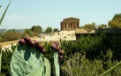 Apre il Giardino di Villa Aurea, paradiso del mecenate della Valle dei Templi