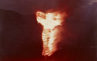 Ana Mendieta. She Got Love