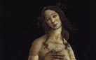 La Venere di Botticelli riparte da Biella