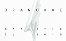 Brancusi: scolpire il volo