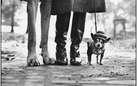 Elliott Erwitt. Family