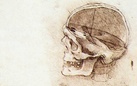 La mano di Leonardo dietro un cranio umano riprodotto 