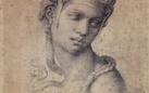 Michelangelo. Divino artista