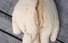 L'Albero della Cuccagna. Nutrimenti dell'arte - Lorenzo Scotto di Luzio. Pane al pane