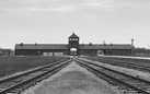 Al termine del binario: Auschwitz