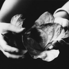 Walter Chappell. Eternal Impermanence