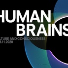 Human Brains - Culture and Consciousness