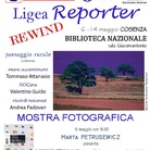 Ligea Reporter Rewind 2015